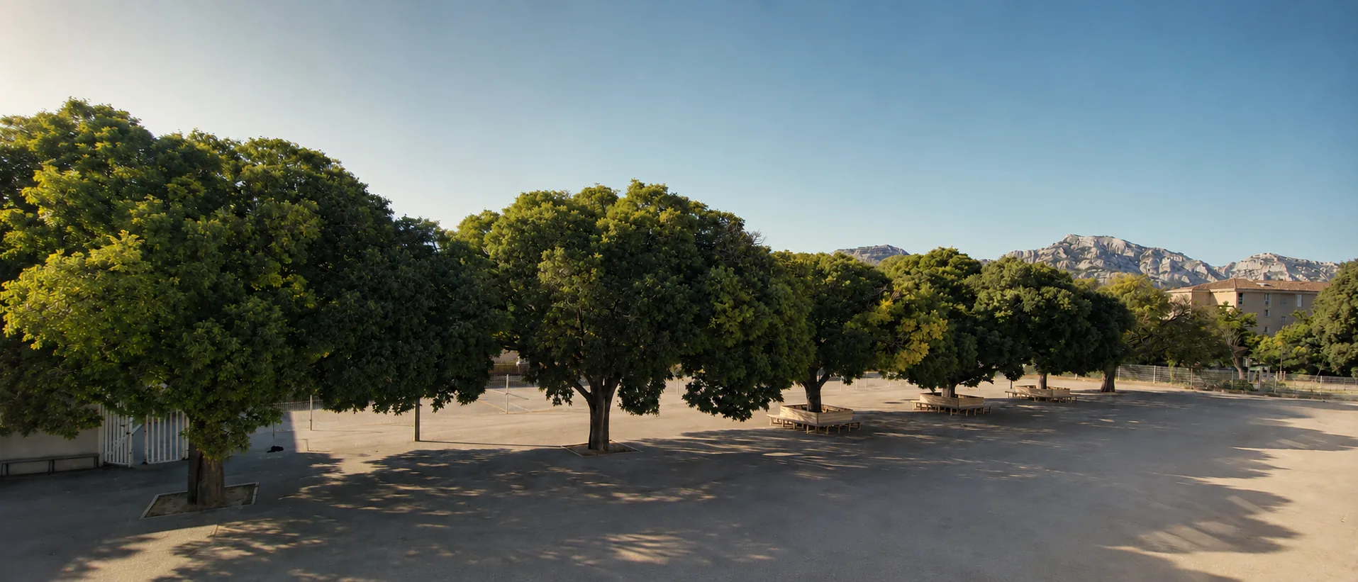 Cour d’école minérale ombragée par ses grands arbres, massifs marseillais à l’horizon